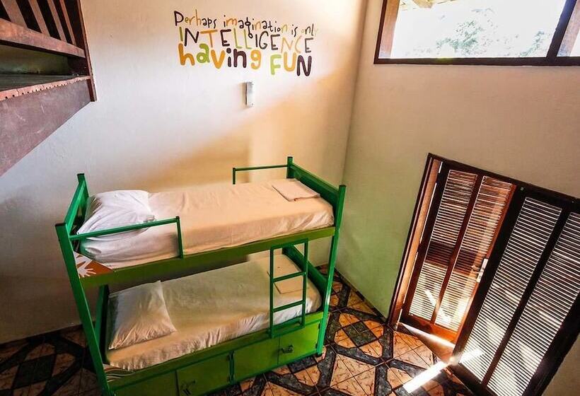 Отель Pousada Tubes Hostel