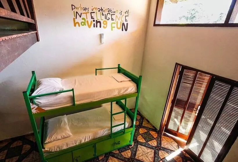 ホテル Pousada Tubes Hostel