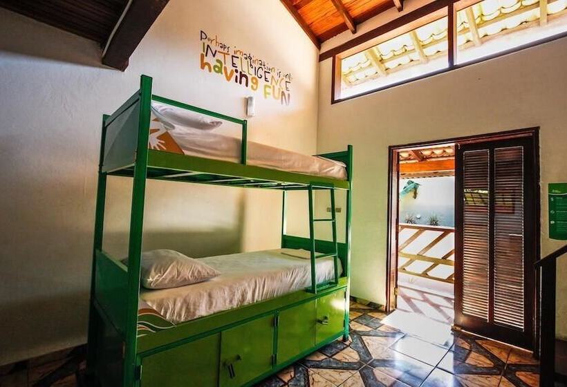 Отель Pousada Tubes Hostel