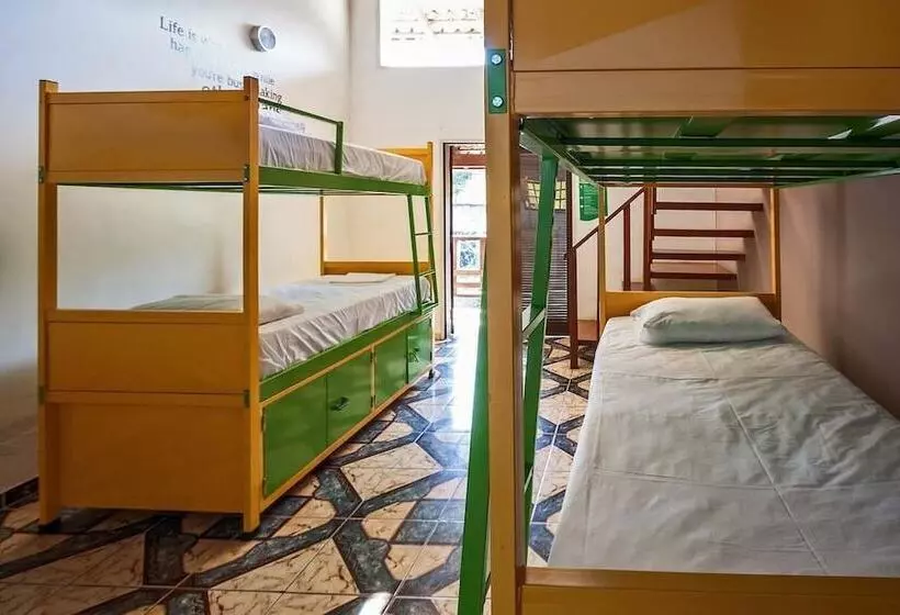 ホテル Pousada Tubes Hostel