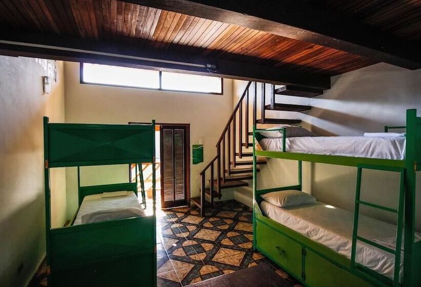Отель Pousada Tubes Hostel