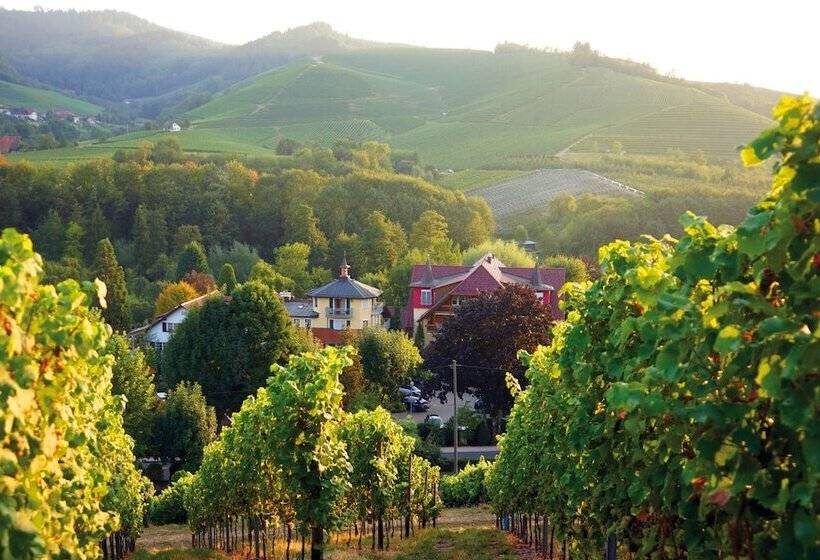 בית מלון כפרי Rebstock Durbach