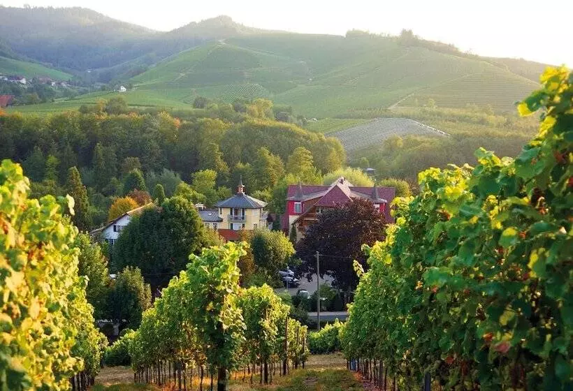 酒店 Rebstock Durbach