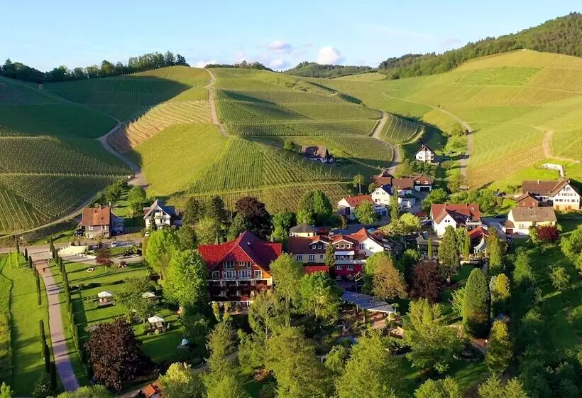 酒店 Rebstock Durbach