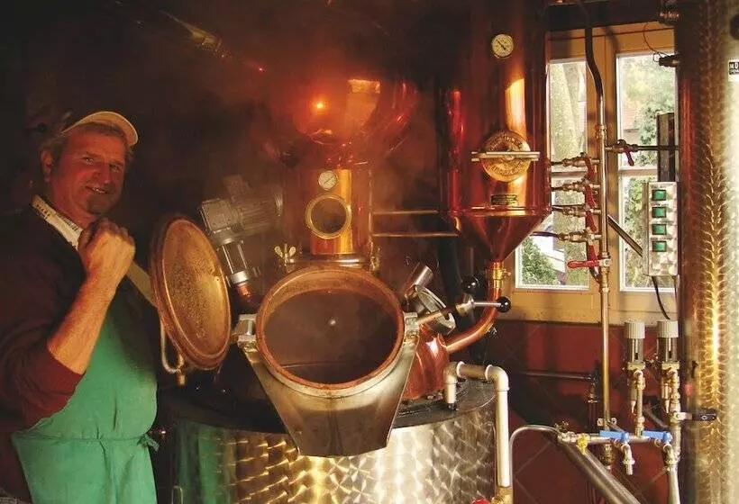 酒店 Rebstock Durbach