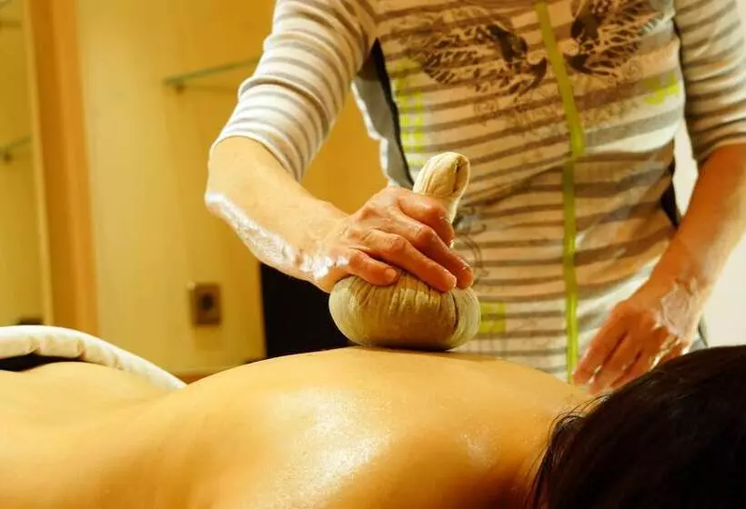 酒店 Rebstock Durbach