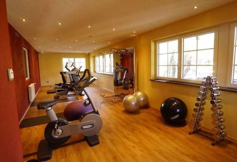 酒店 Rebstock Durbach