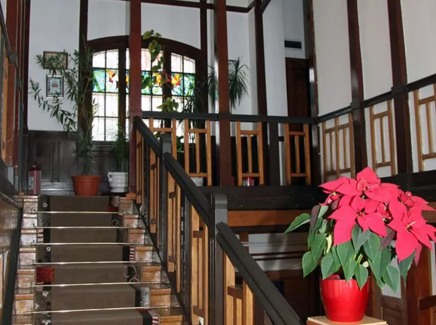 ホテル Vila Camelia