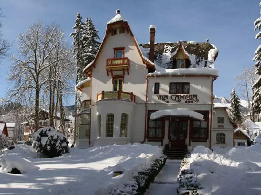 ホテル Vila Camelia