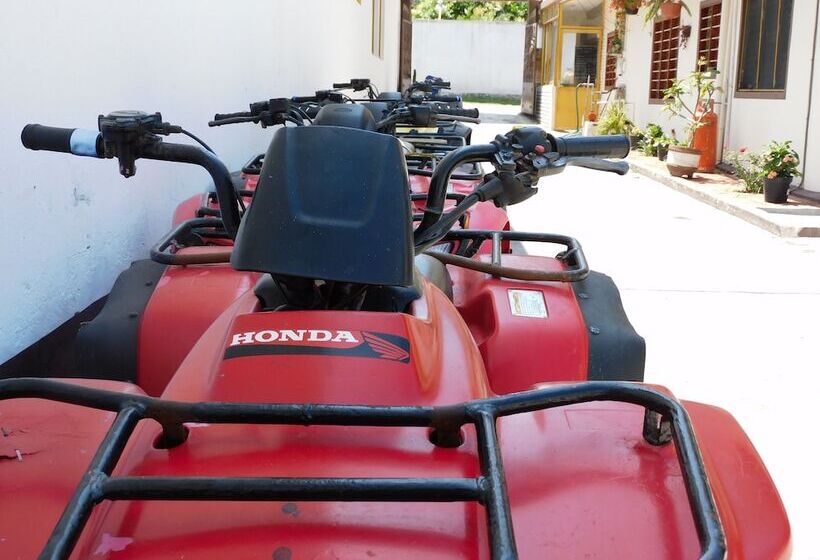 Отель Casa De Huespedes Nayomi By Rotamundos