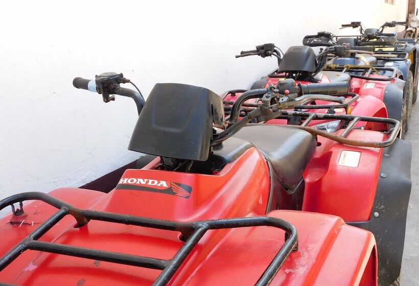 Отель Casa De Huespedes Nayomi By Rotamundos