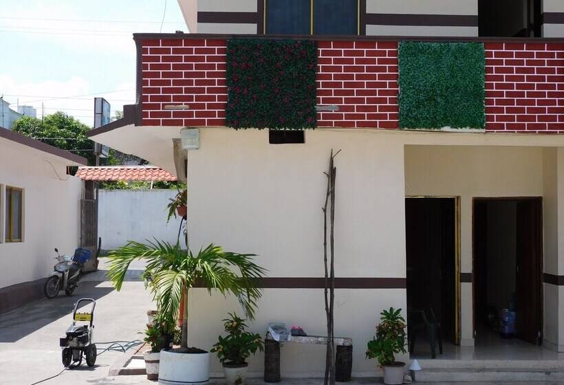 Отель Casa De Huespedes Nayomi By Rotamundos