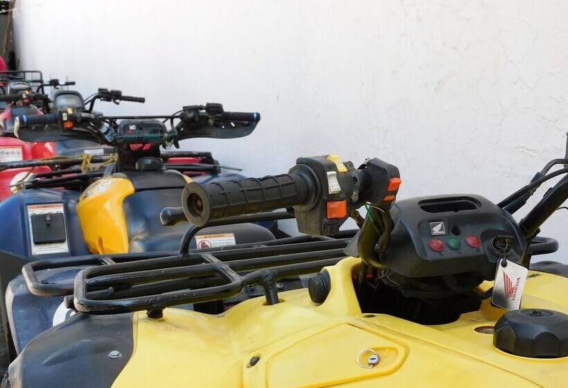 Отель Casa De Huespedes Nayomi By Rotamundos