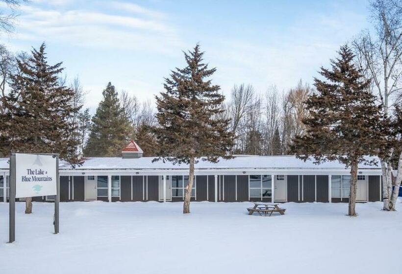 Motel Boutique Suite #3