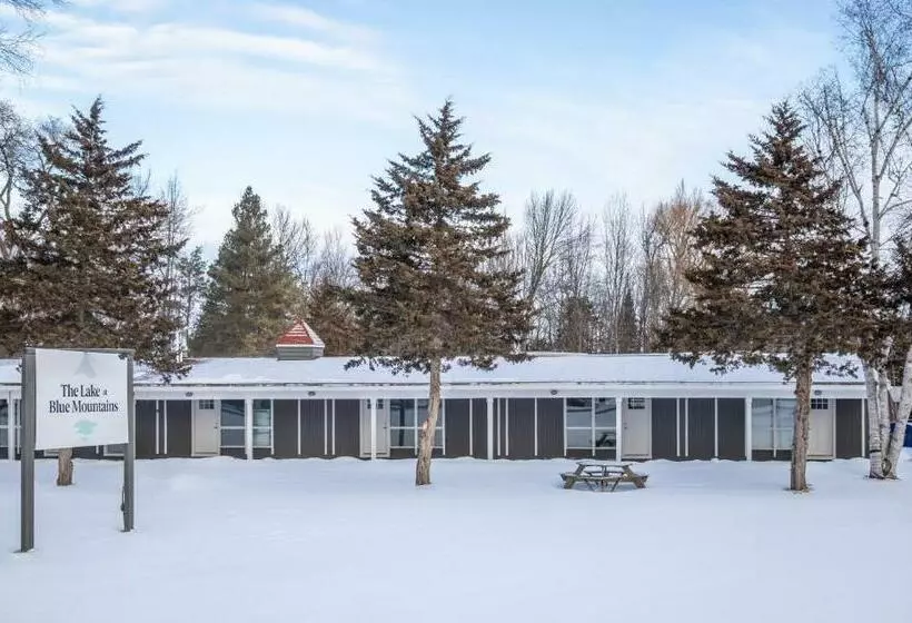 Motelli Boutique Suite #4