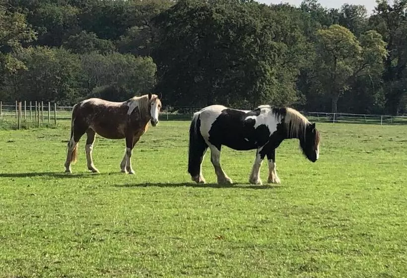 Majatalo Chambre Zen Château De La Bouchatte