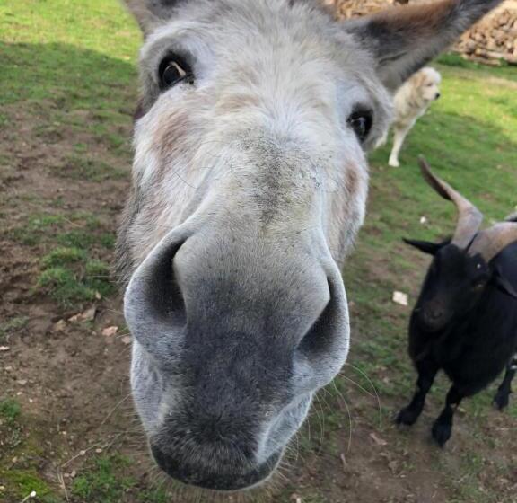 Pensionat Chambre Zen Château De La Bouchatte
