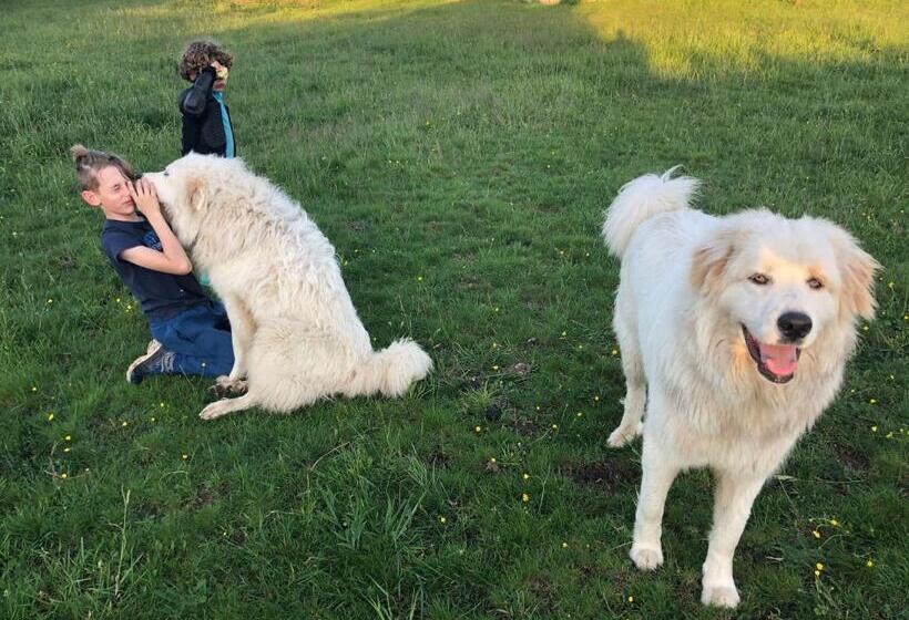 Pensionat Chambre Zen Château De La Bouchatte