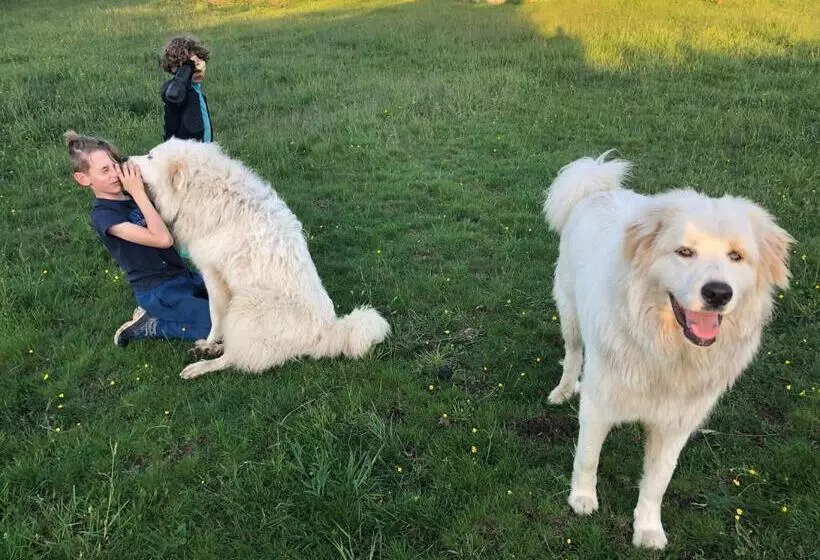 Majatalo Chambre Zen Château De La Bouchatte
