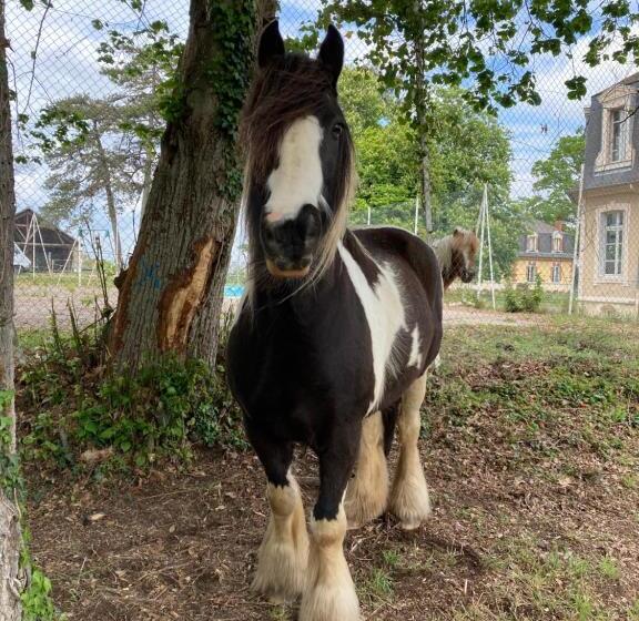 Pensionat Chambre Zen Château De La Bouchatte
