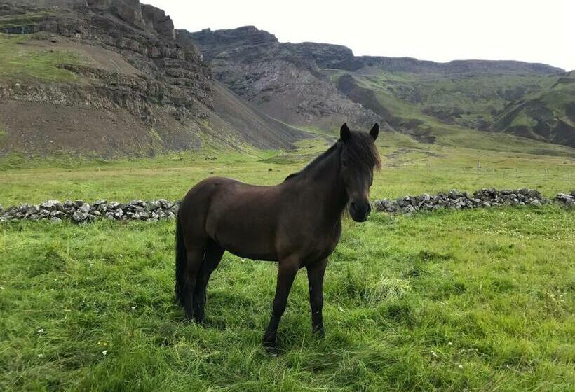 پانسیون Hvammur 2 Guesthouse Red House