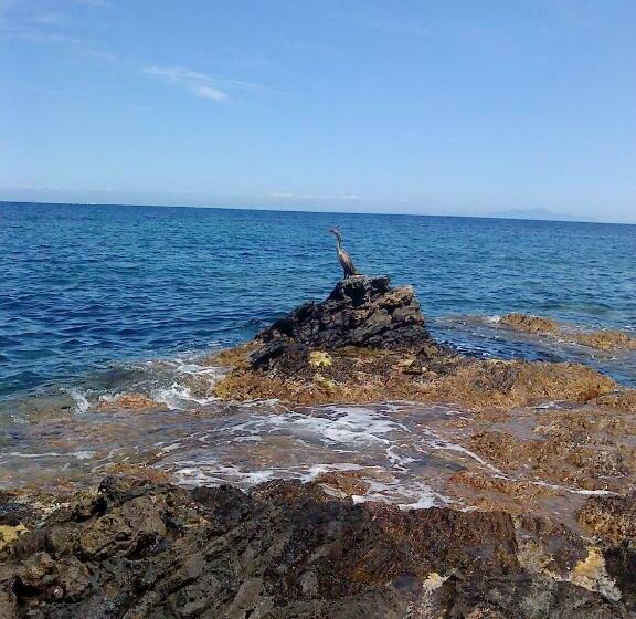 Bed and Breakfast Chambre D Hôtes Chez Raymonde Et Sandrine