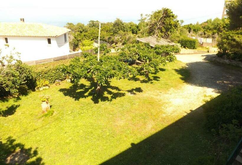 Bed and Breakfast Chambre D Hôtes Chez Raymonde Et Sandrine