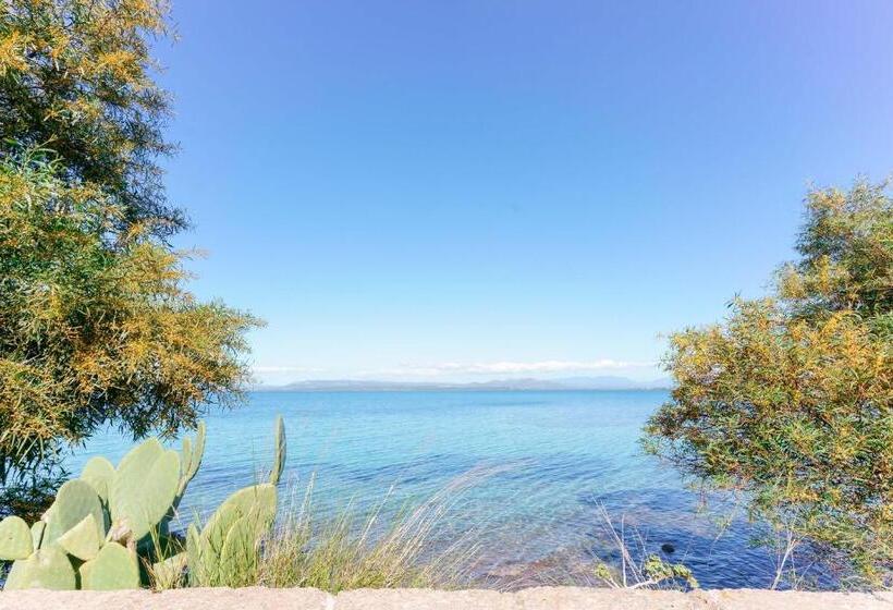 تختخواب و صبحانه Montellino S Suite Oro