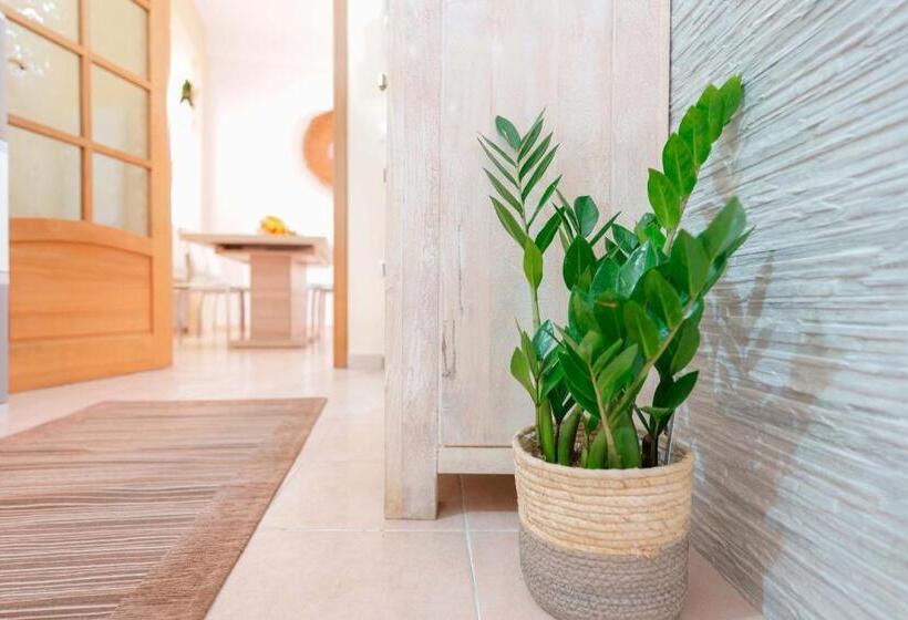 تختخواب و صبحانه Montellino S Suite Oro