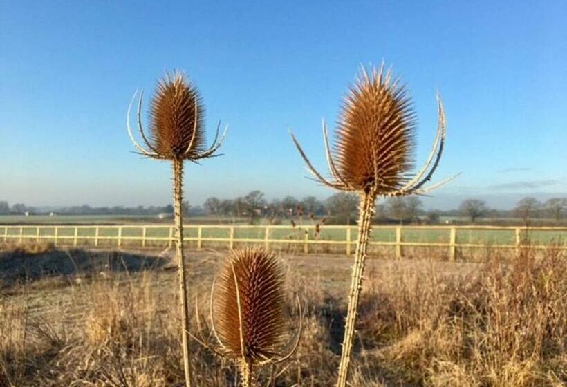 Aamiaismajoitus (B&B) North Cottage · Country Retreat In The Heart Of Sussex  Twineham