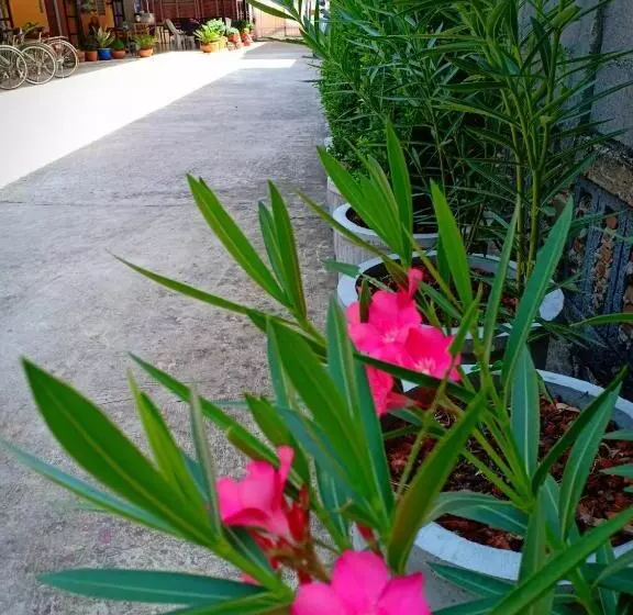 Hotelli Siri Guesthouse