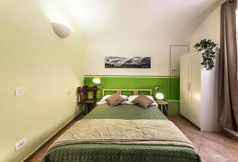 B&b Finalex