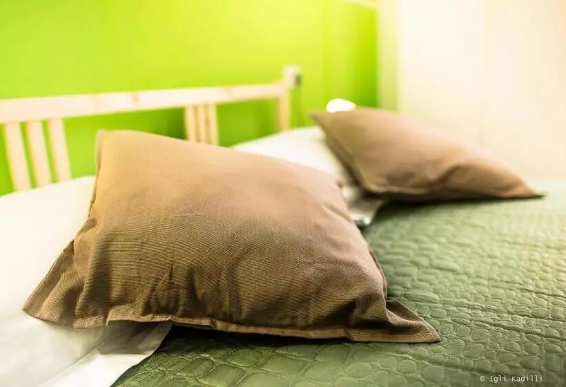 B&b Finalex
