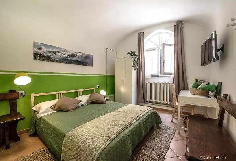 B&b Finalex