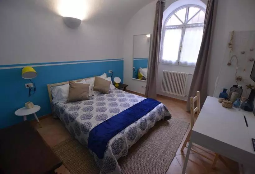 B&b Finalex