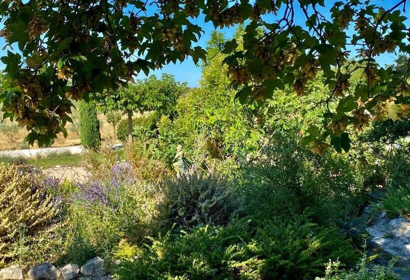 住宿加早餐 Mas Des Olives