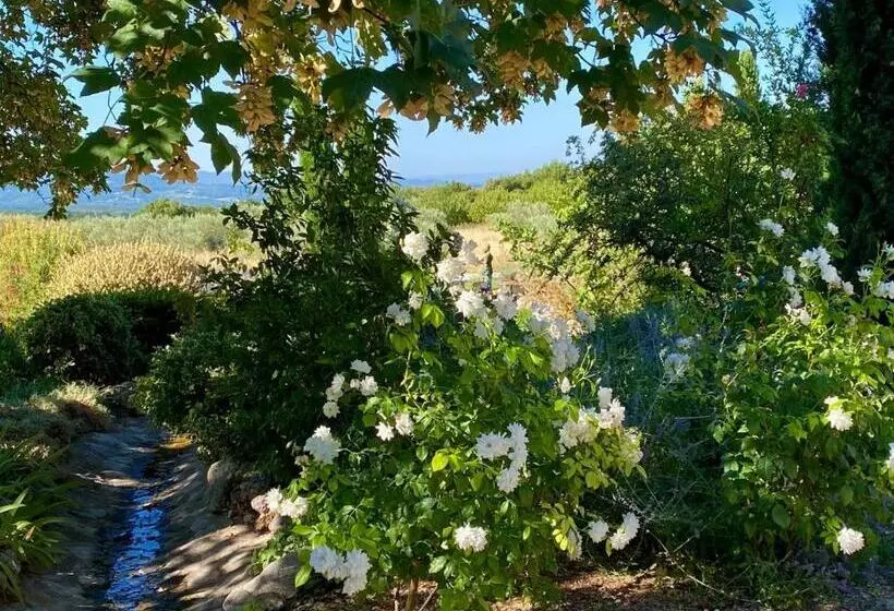 Aamiaismajoitus (B&B) Mas Des Olives