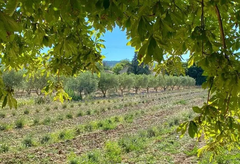 Aamiaismajoitus (B&B) Mas Des Olives