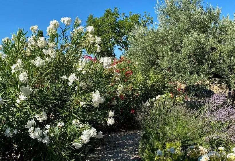 Aamiaismajoitus (B&B) Mas Des Olives