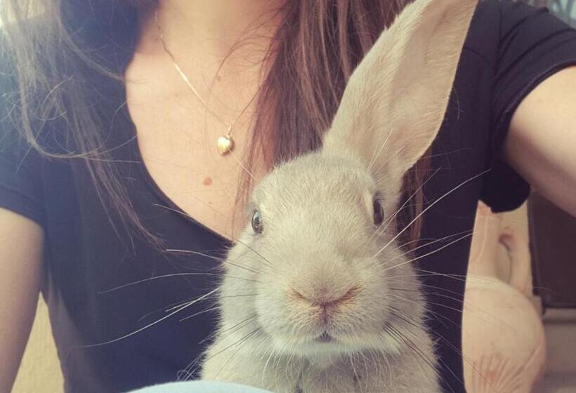 Отель Agriturismo Abbazia Sette Frati A Casa Di Sara