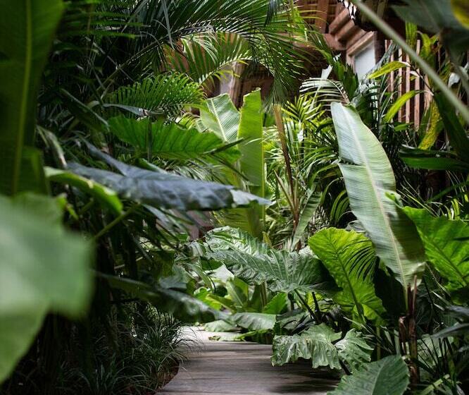 هتل The Asa Maia   Adults Only Resort