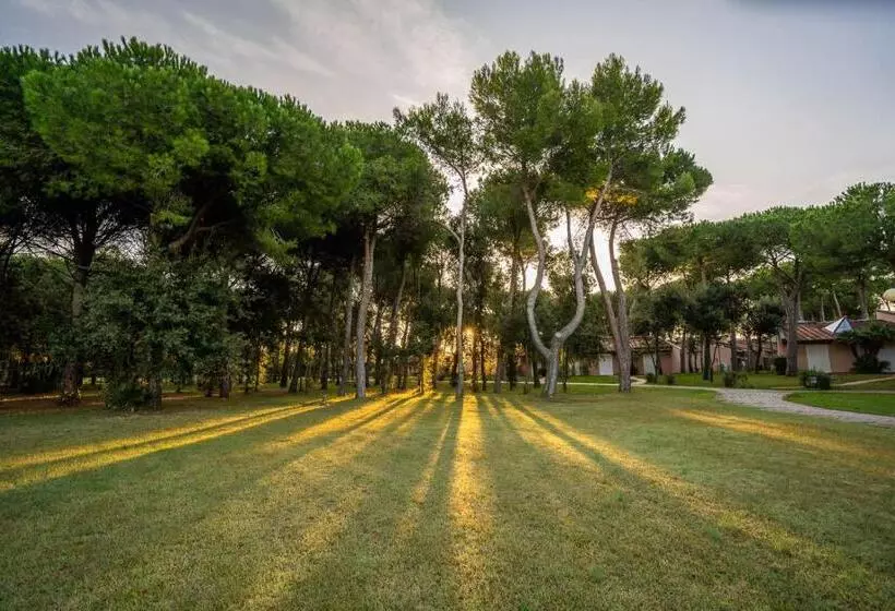 ホテル Resort Riva Degli Etruschi
