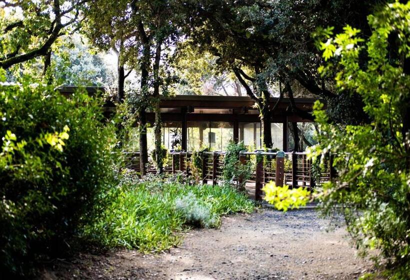 호텔 Resort Riva Degli Etruschi