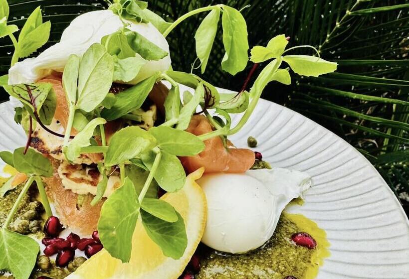 מוטל Batemans Bay Lodge