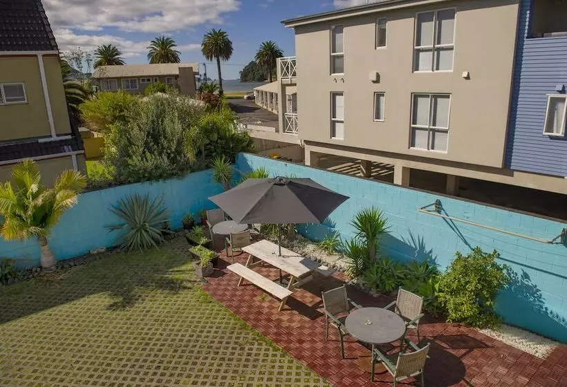 汽车旅馆 Albert Number 6