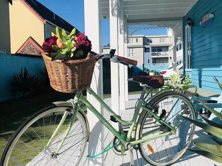 汽车旅馆 Albert Number 6