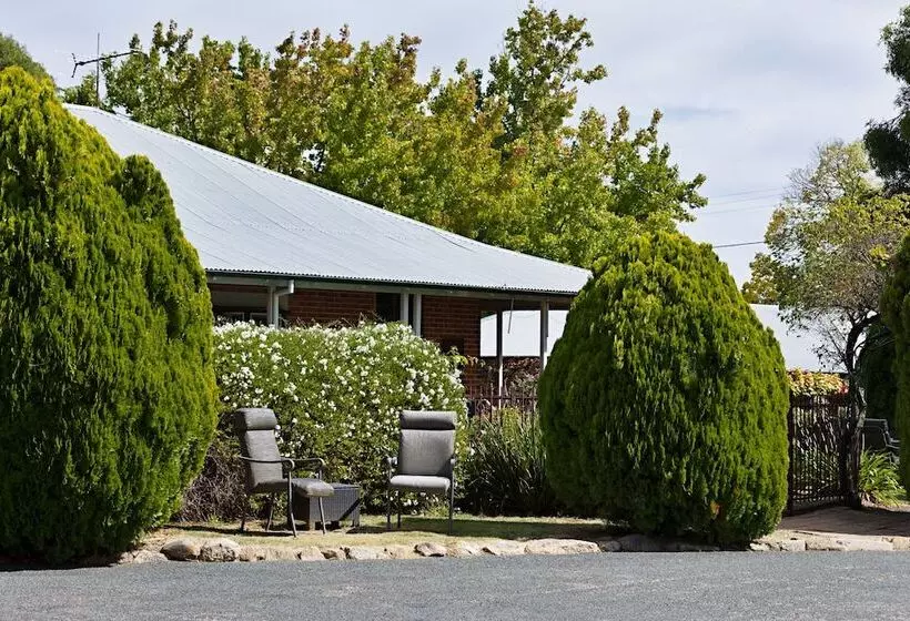 酒店 Beechworth Carriage Motor Inn