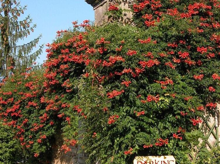 ホテル De Vougeot