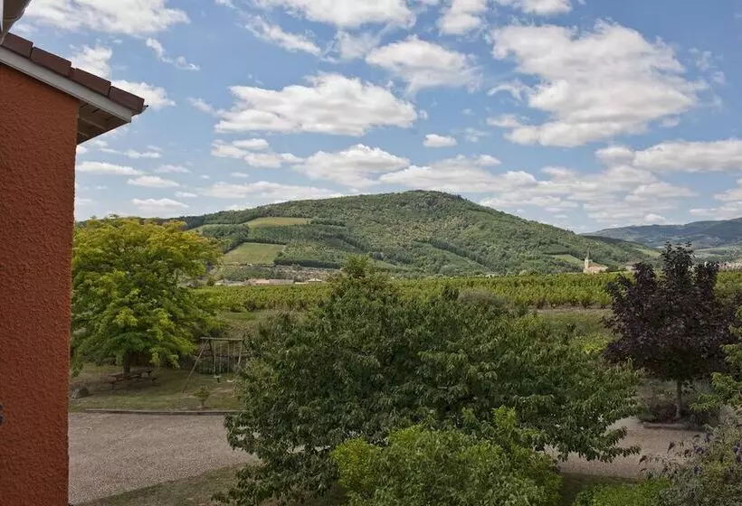 فندق Hôtel Des Vignes