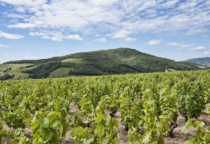 ホテル Hôtel Des Vignes